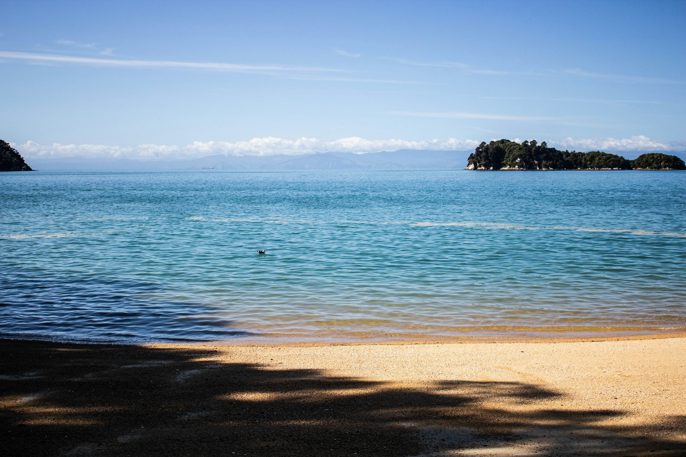 Beautiful Abel Tasman coastline in the Nelson Tasman region of New Zealand